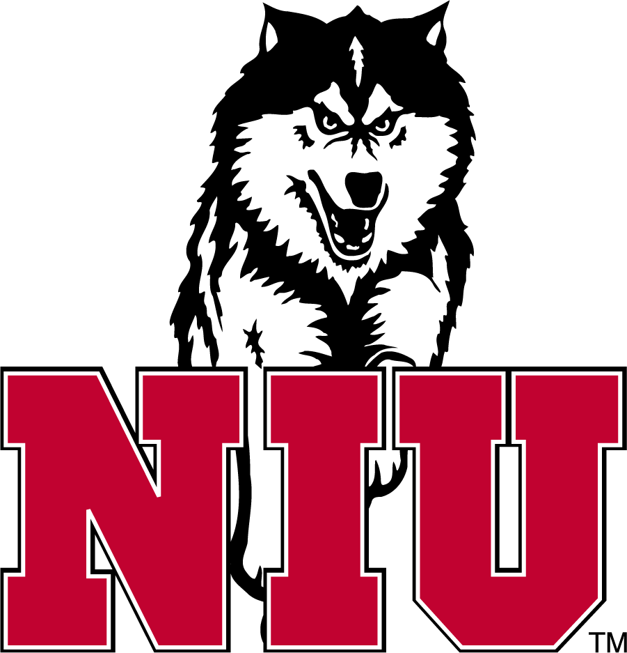 Northern Illinois Huskies 1988-2001 Alternate Logo v2 diy DTF decal sticker